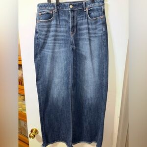American Eagle Low Rise Baggy Wide Leg Sz 10 Long Jeans